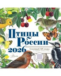 Календарь Птицы России с голосами 2026 год