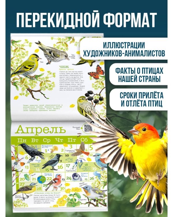 Календарь Птицы России с голосами 2026 год