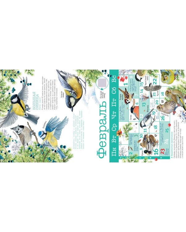 Календарь Птицы России с голосами 2026 год