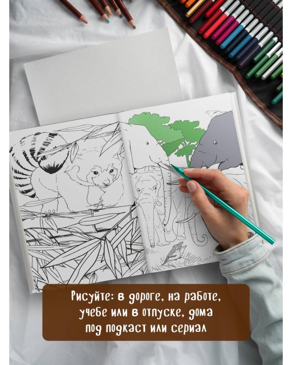 Удивительные животные. Мини-раскраска-антистресс для творчества и вдохновения (ленивец)