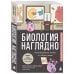 Дополнительное изображение книги «Биология наглядно. Иллюстрированное пособие по главным темам»