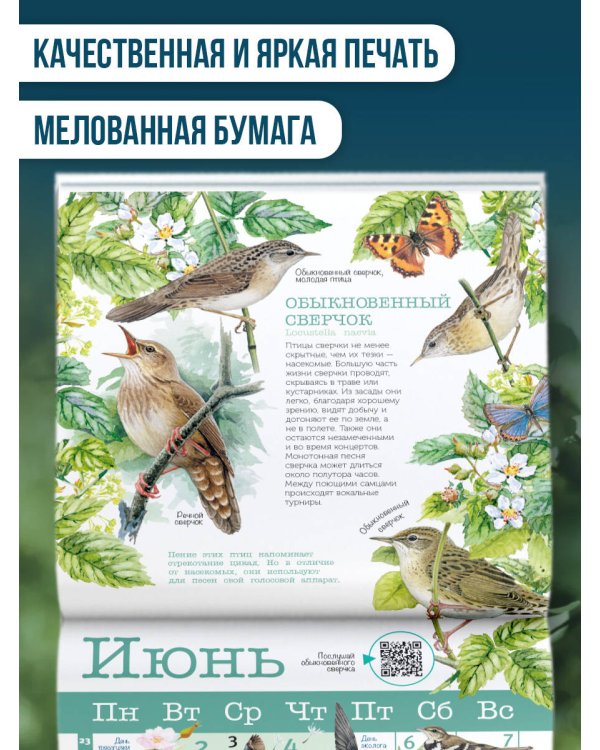 Календарь Птицы России с голосами 2026 год