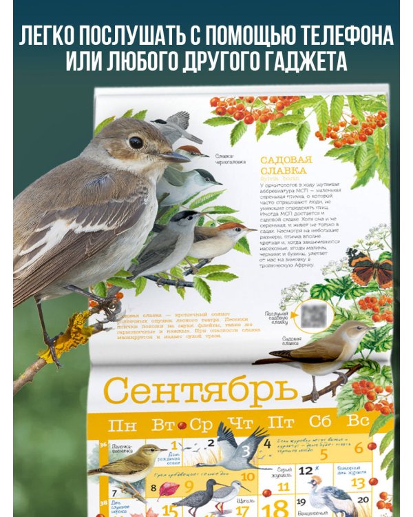 Календарь Птицы России с голосами 2026 год