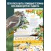 Календарь Птицы России с голосами 2026 год
