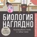 Дополнительное изображение книги «Биология наглядно. Иллюстрированное пособие по главным темам»