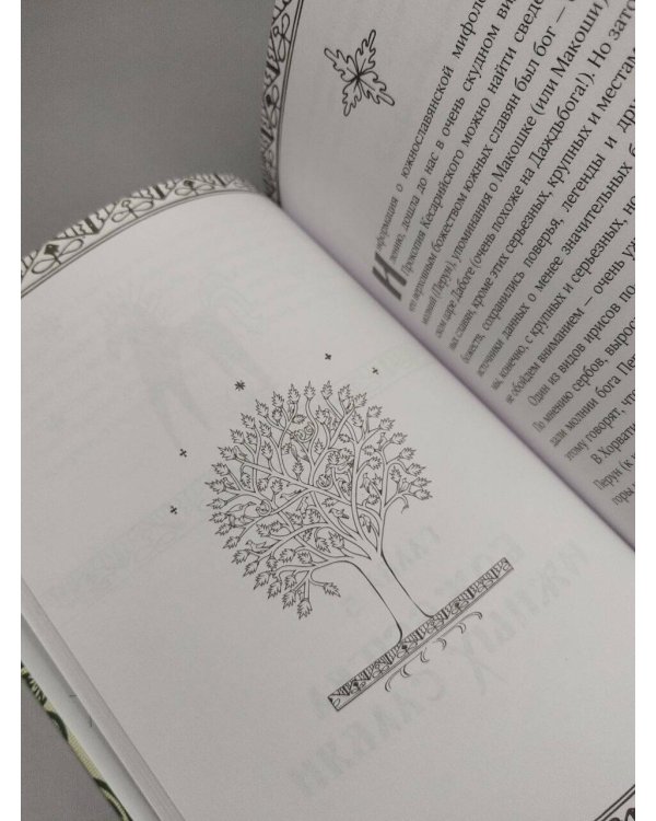 Дополнительное изображение книги «Славянские мифы. О южных, западных и восточных славянах, высшей и низшей мифологии, а также о популярных фейках»