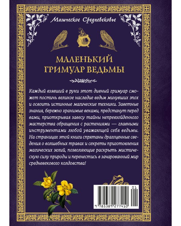 Маленький гримуар ведьмы. Зелья и волшебные травы