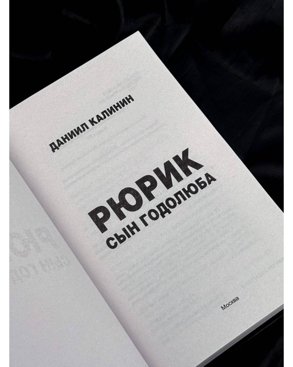 Дополнительное изображение книги «Рюрик. Сын Годолюба»