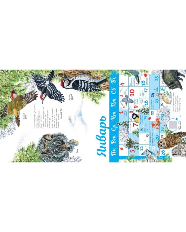 Календарь живой природы с голосами животных 2026 год