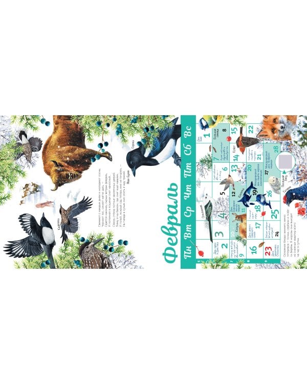 Календарь живой природы с голосами животных 2026 год