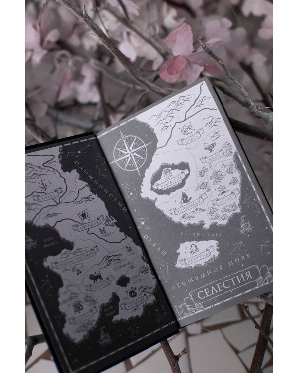 Небесные тела