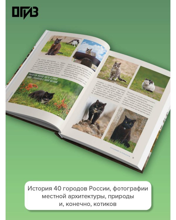 Русские котики. Рассказы о России и её самых важных обитателях