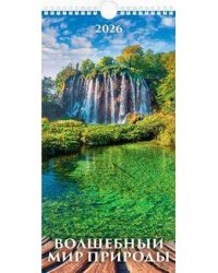 (20%)"Волшебный мир природы"(165*320).К-рь настен. перекид.с ригелем(2026) ШБ
