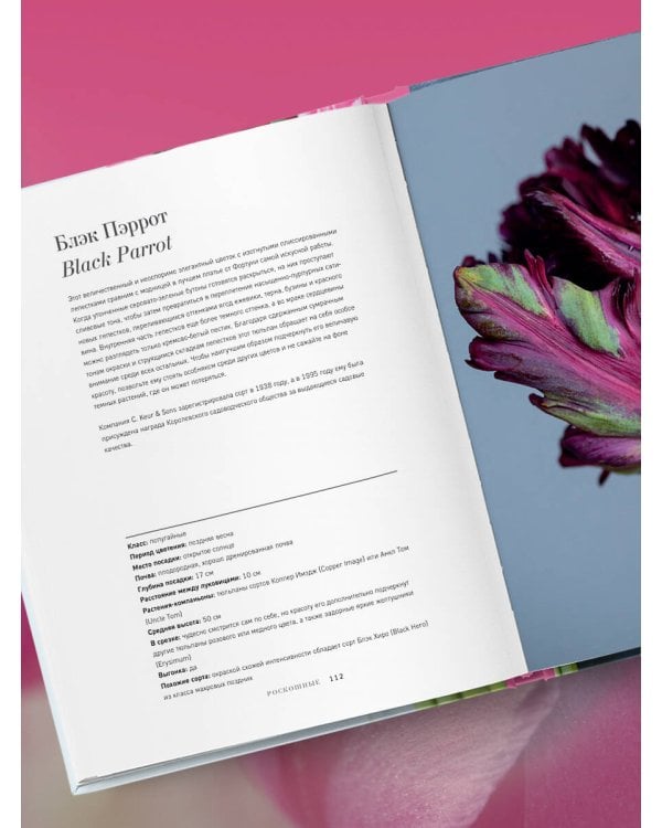 Тюльпаны. Великолепные цветы для дома и сада