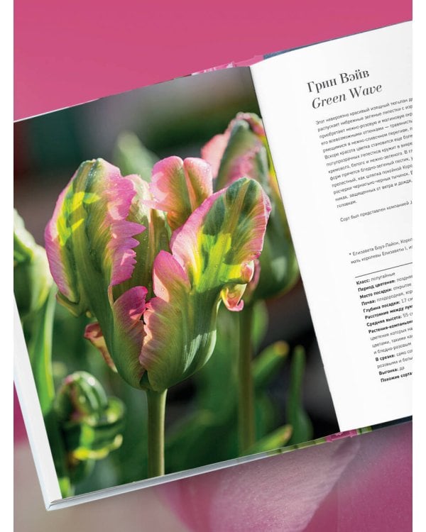 Тюльпаны. Великолепные цветы для дома и сада