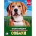 СОБАКИ (ЭНЦИКЛОПЕДИЯ А4). ТВЕРДЫЙ ПЕРЕПЛЕТ. БУМАГА МЕЛ, 48 СТР.,  197Х255 ММ. в кор.15шт