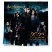 Календари настенные 2023 (170х170) Гарри Поттер и Кубок огня. Календарь настенный на 2023 год (170х170 мм)
