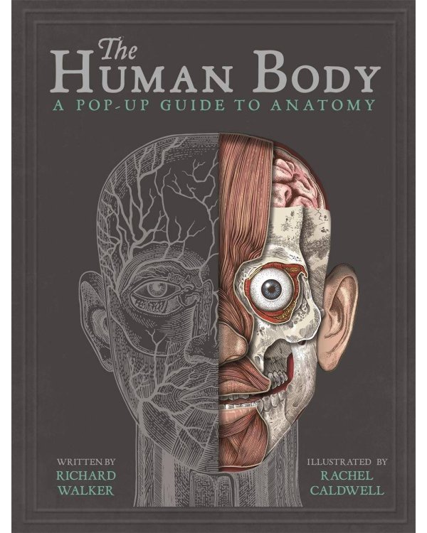 The Human (Richard Walker) Тело человека (Ричард Уокер) /Книги на английском языке