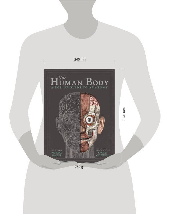 The Human (Richard Walker) Тело человека (Ричард Уокер) /Книги на английском языке