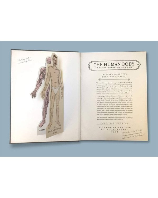 The Human (Richard Walker) Тело человека (Ричард Уокер) /Книги на английском языке