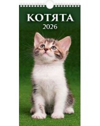 (20%)"Котята"(165*320).К-рь настен. перекид.с ригелем(2026) ШГБ