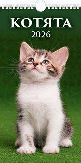 (20%)"Котята"(165*320).К-рь настен. перекид.с ригелем(2026) ШГБ