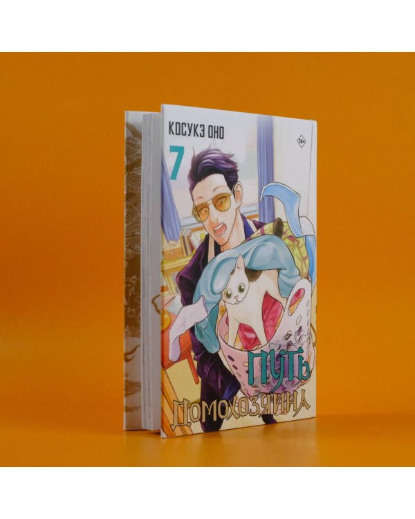 Путь домохозяина. Том 7