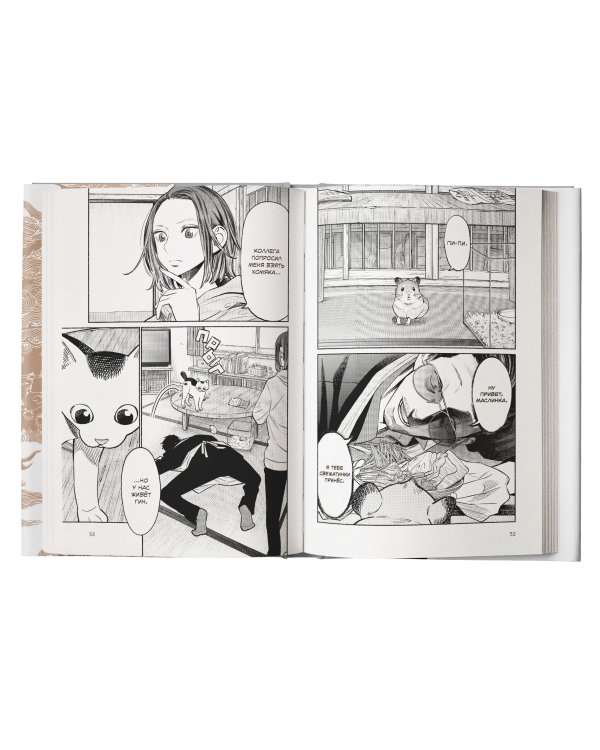 Путь домохозяина. Том 8