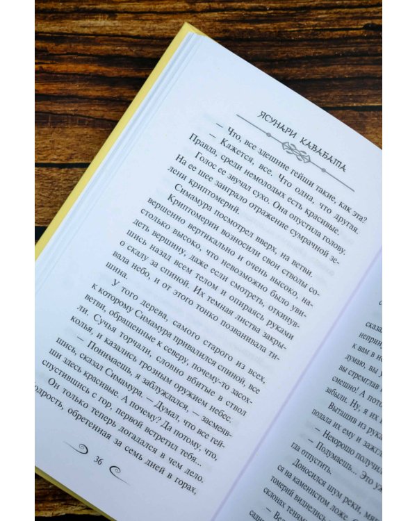 Снежная страна