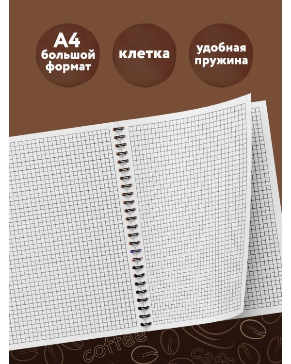 Блокнот в клетку. Сова (А4, 48 л., на пружине)