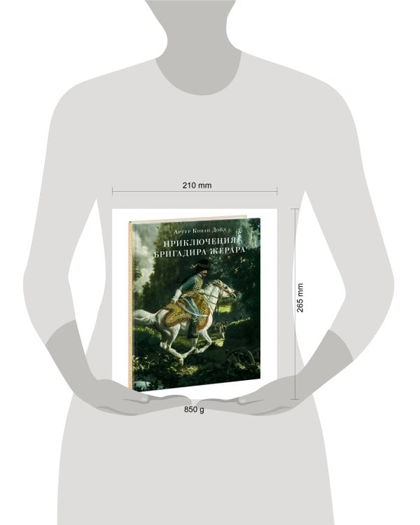 Приключения бригадира Жерара