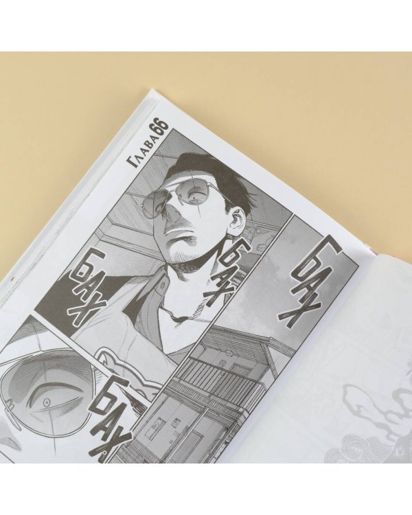 Путь домохозяина. Том 8