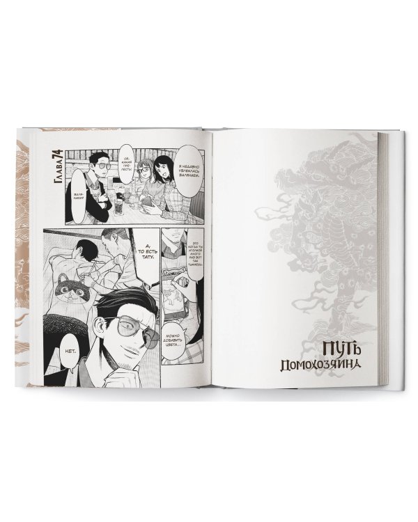 Путь домохозяина. Том 9