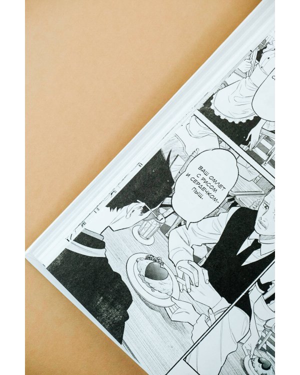 Путь домохозяина. Том 9