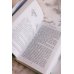 Путешествие цветка. Книга 1