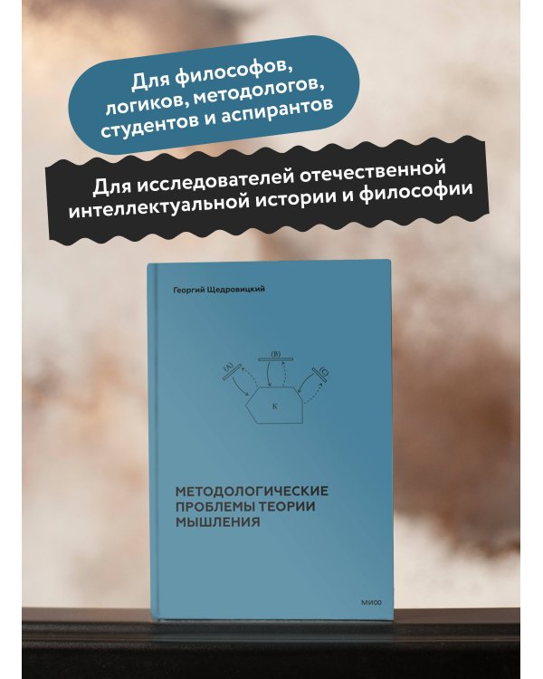 Методологические проблемы теории мышления