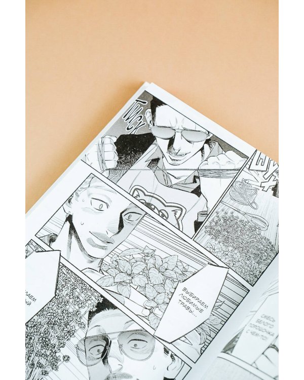 Путь домохозяина. Том 9