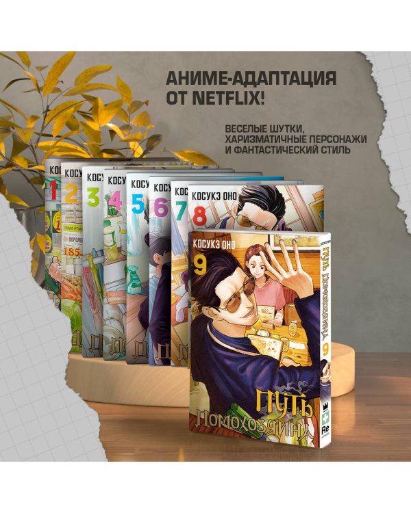 Путь домохозяина. Том 9