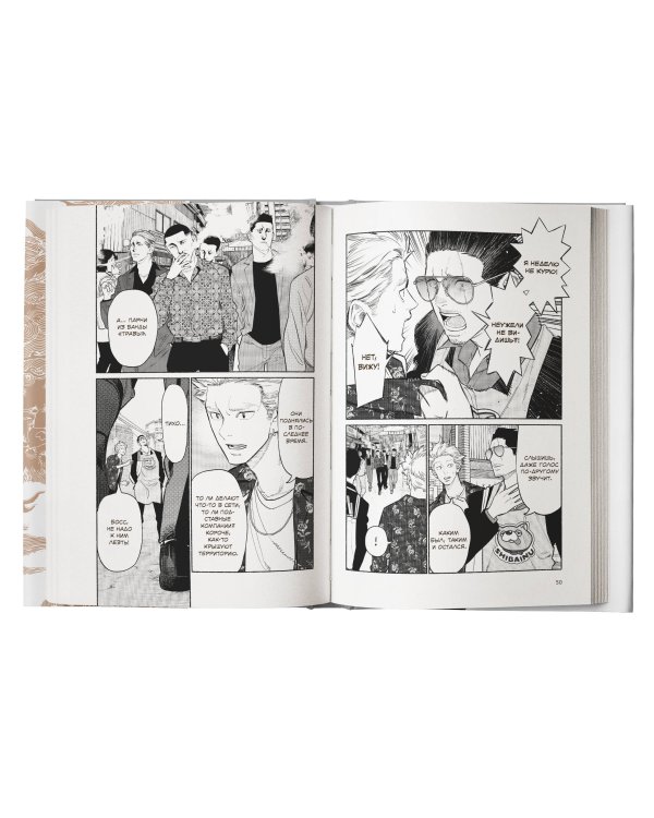 Путь домохозяина. Том 10