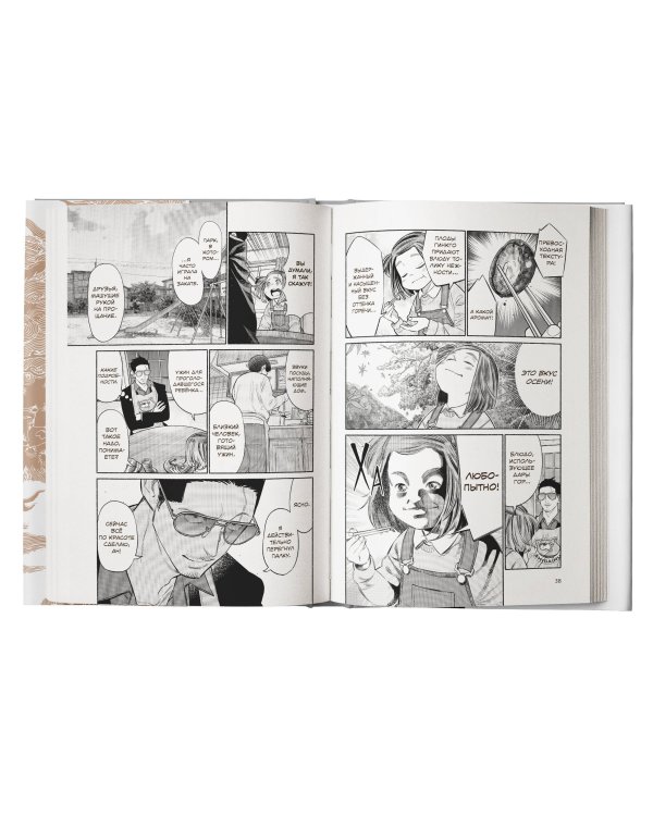 Путь домохозяина. Том 10