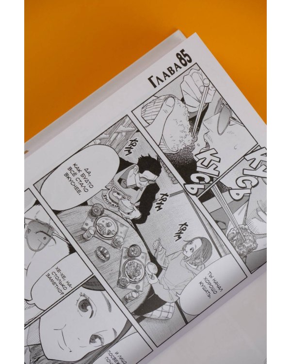 Путь домохозяина. Том 10