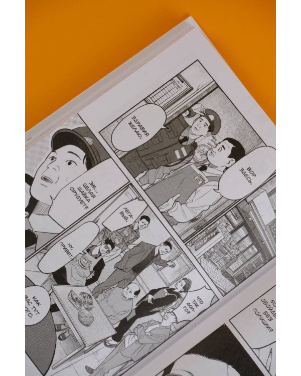 Путь домохозяина. Том 10