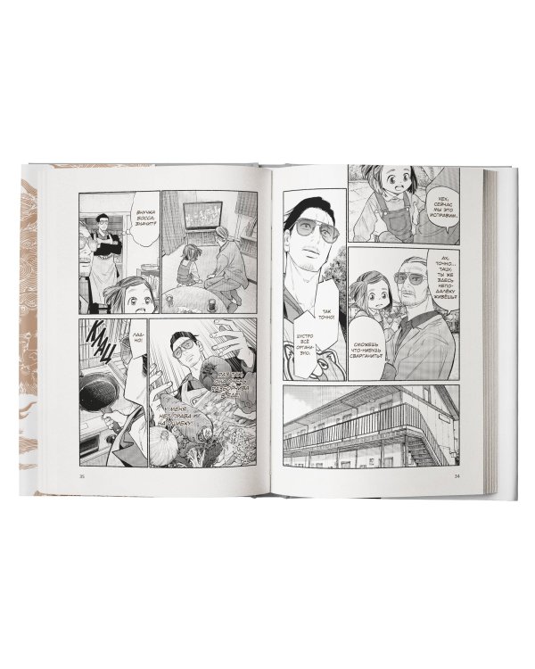 Путь домохозяина. Том 10