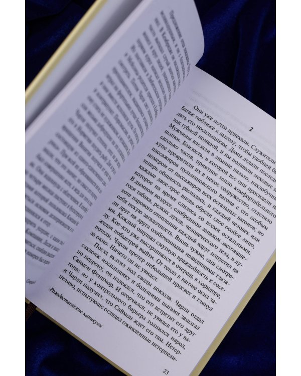 Рождественские каникулы