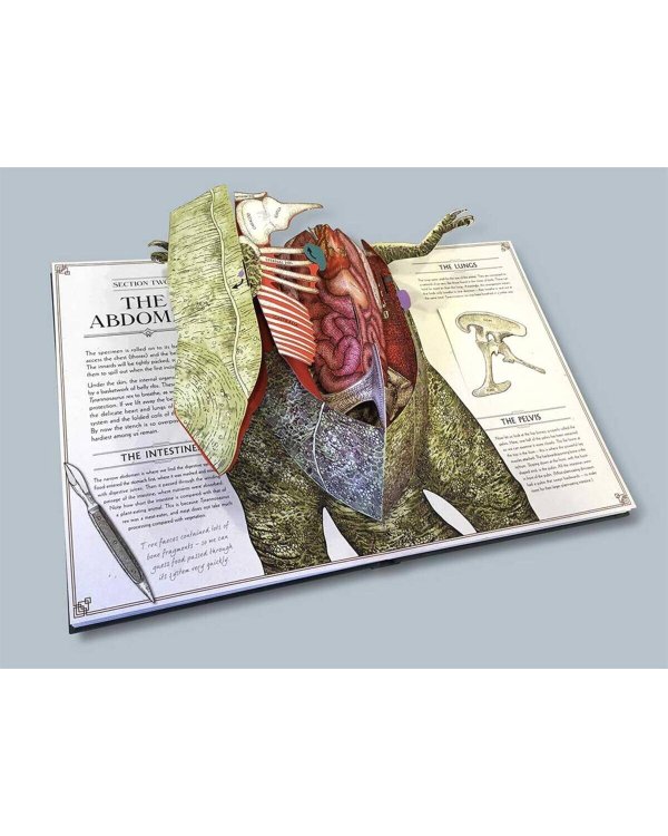 Tyrannosaurus rex (Douglas Dixon) Тираннозавр Рекс (Дуглас Диксон) /Книги на английском языке