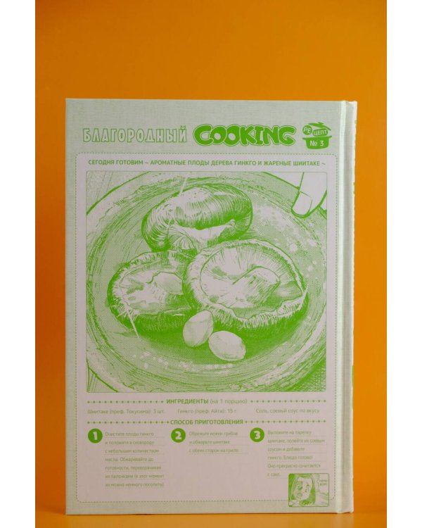 Путь домохозяина. Том 10