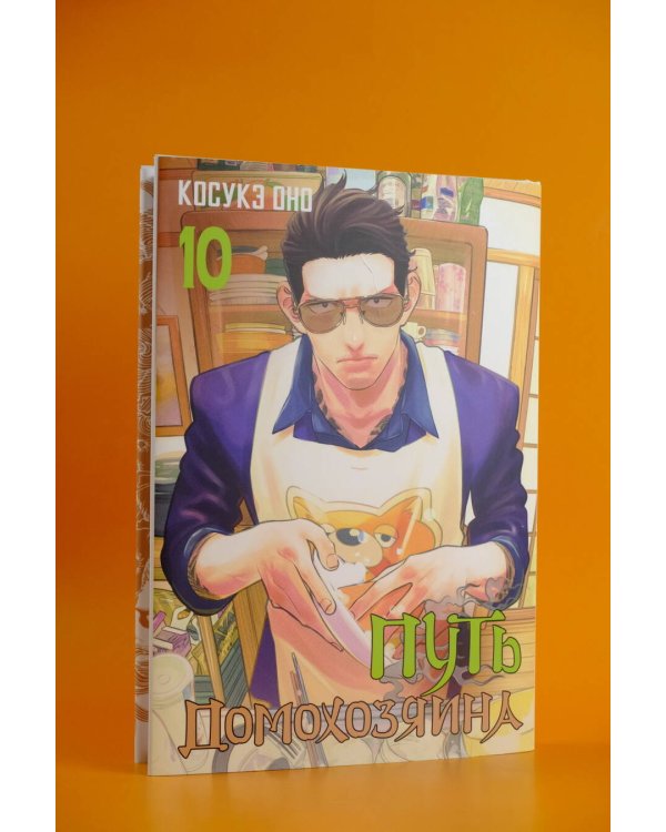 Путь домохозяина. Том 10