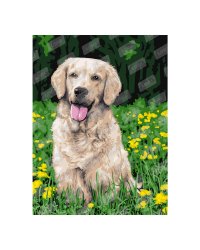 Алмаз. мозаика (класс.) 40х50 см,с подр.,с полн.зап.(30цв.) Корабль в волнующемся море (Арт. AC4101)