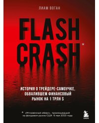 Flash Crash. История о трейдере-самоучке, обвалившем финансовый рынок на 1 трлн $