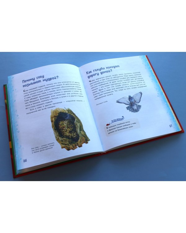 Миллион вопросов о животных, обо мне и мире вокруг и самых разных любопытных вещах
